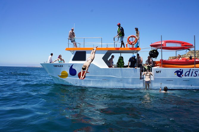 2-hour Kayak Tour of Ponta da Piedade Caves and Beaches - Getting geared up and learning the kayak routine fast
