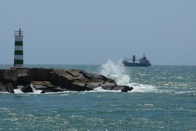 4 Stops | 3 Islands & Ria Formosa Natural Park - From Faro - Why the Ria Formosa feels different from any other coast