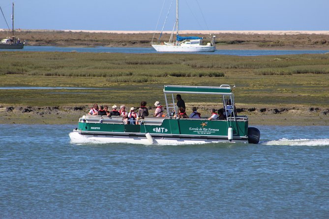 4 Stops | 3 Islands & Ria Formosa Natural Park - From Faro - Stop 4: Oyster culture observation, what you’ll actually see