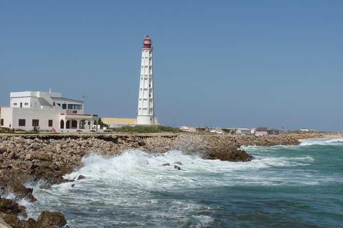 4 Stops | 3 Islands & Ria Formosa Natural Park - From Faro - What wildlife spotting is like, and how to improve your odds