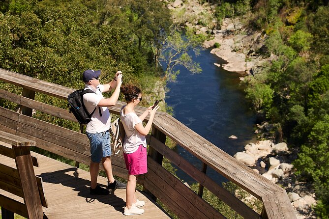 516 Arouca Bridge & Paiva Walkways Tour with Lunch from Porto - Paiva Walkways by the River: The Real Workout Behind the Views