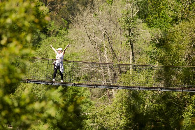 516 Arouca Bridge & Paiva Walkways Tour with Lunch from Porto - Who This Trip Suits Best, and Who Might Want a Different Plan