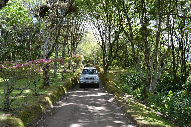 8-Hour Private Tour in 4x4 Vehicle from Ponta Delgada - Quick hits before you go
