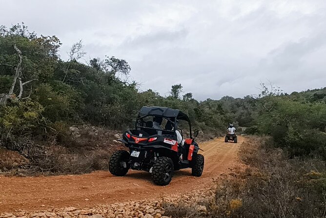 Albufeira 1.5 hour Off-Road Tour Buggy Adventure Tour - What to Expect at the End: Dusty Clothes, Photos, and Real-World Prep