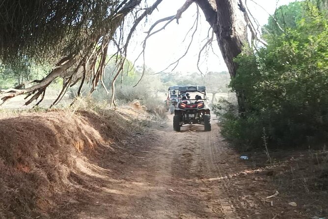 Albufeira 1.5 hour Off-Road Tour Buggy Adventure Tour - Who This Albufeira Buggy Tour Is Best For