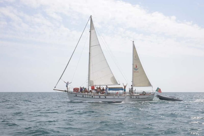 Albufeira: 6-Hour Boat Tour with BBQ and Drinks - Getting Started at Marina de Albufeira (Where the Day Really Begins)