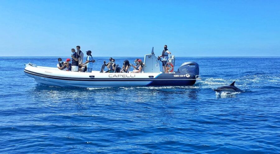 Albufeira: Benagil Cave and Dolphin Sightseeing Boat Cruise - The Big Picture: Caves, Coast Views, and Dolphin Time