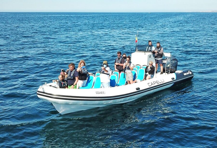 Albufeira: Benagil Cave and Dolphin Sightseeing Boat Cruise - Dolphin Spotting: How the Guide Runs It and What to Do Onboard