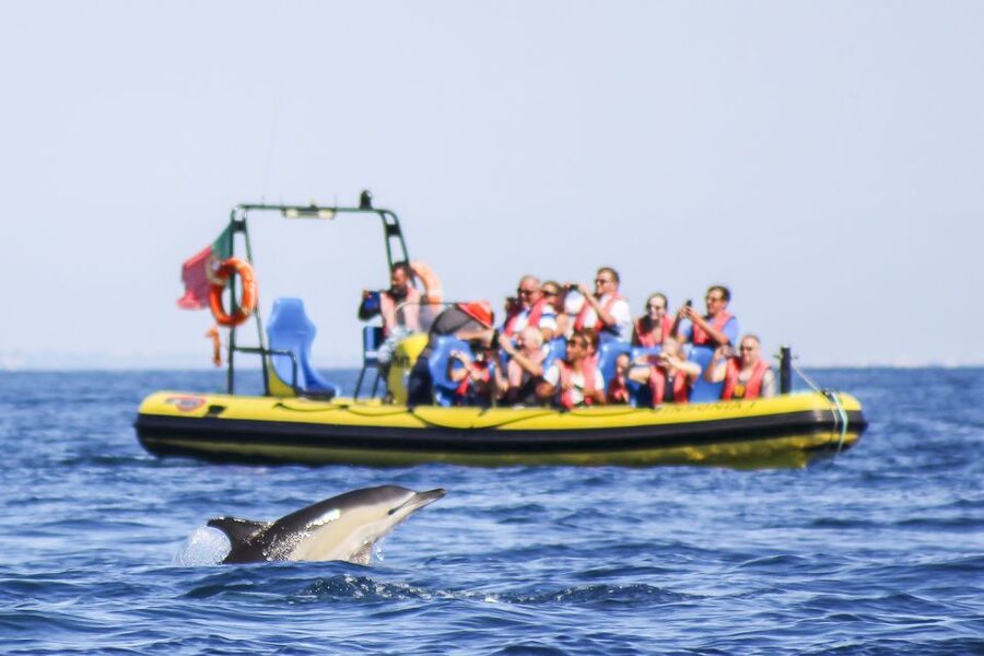 Albufeira: Benagil Caves & Dolphin Watching Speed Boat Tour - Benagil caves: the photo moment, plus the reality check