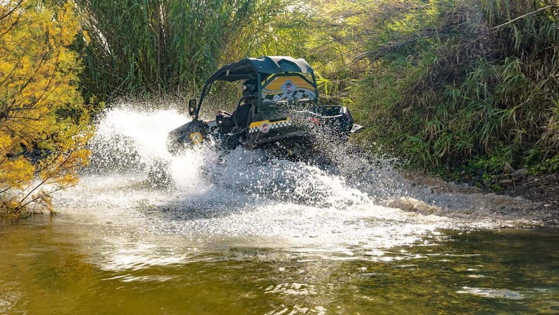 Albufeira: Buggy Adventure through the Algarve Hidden Gems - Price and value: what $206 covers, and what costs extra