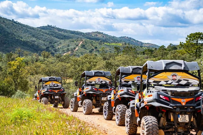 Albufeira: Buggy Adventure through the Algarve Hidden Gems - Paderne sightseeing time, the farm stop, and why this section works