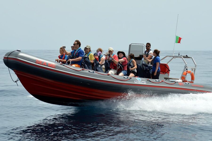 Albufeira: Dolphin Watching and Benagil Cave Boat Cruise - Benagil Cave Boat Time, and the One Part You Cannot Control