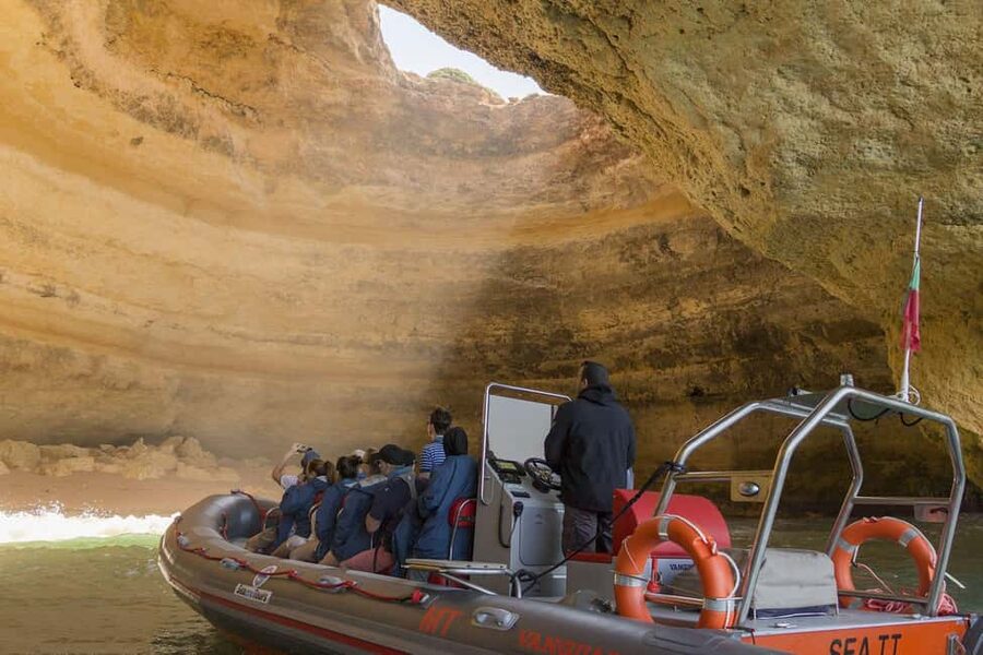 Albufeira: Dolphin Watching and Benagil Cave Boat Cruise - The Marine Biologist on Board, and Why It Changes How You Watch