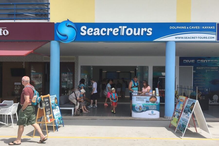 Albufeira: Dolphin Watching and Benagil Cave Boat Cruise - Dolphin Watching That Feels Wild, Because It Is