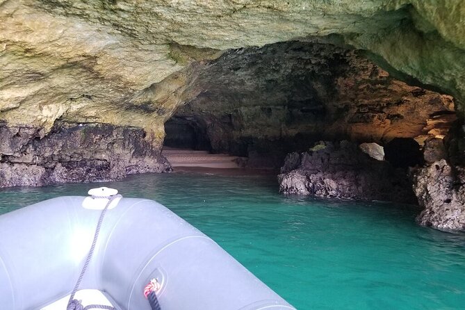 Albufeira: Dolphins and Caves Tour - Who this tour suits best (and who should skip it)
