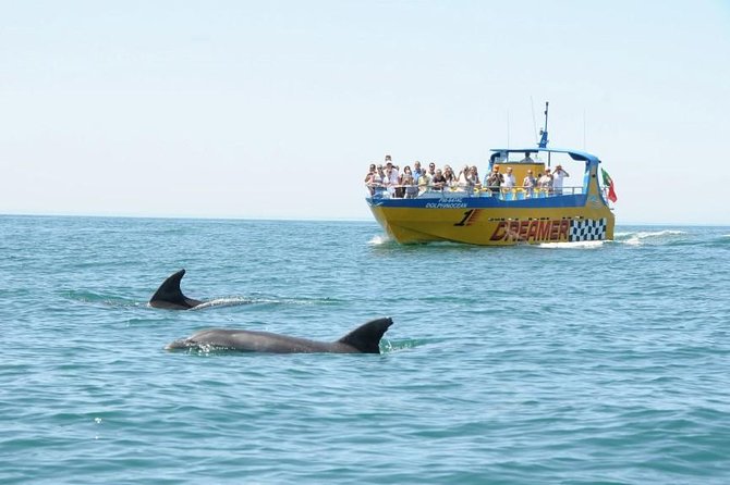 Albufeira Dreamer Boat Trip - Jet boat vs. slow cruise, why this Albufeira route feels more alive