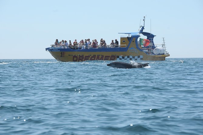 Albufeira Dreamer Boat Trip - Farol de Alfanzina and finishing back at the marina