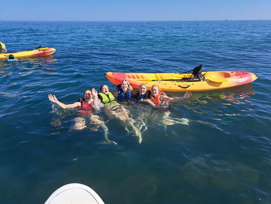 Albufeira: Hidden Beaches & Cliffs Guided Kayak Cave Tour - Praia das Salamitras: the photo stop and the swim break