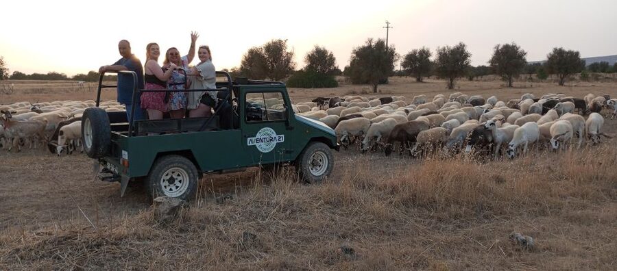 Albufeira: Jeep Safari Half-Day Countryside Tour - The Paderne Castle Stop: Short Visit, Big Context