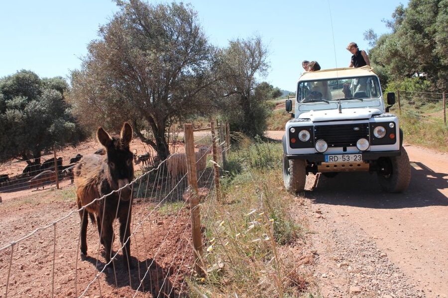 Albufeira: Jeep Safari Half-Day Countryside Tour - Alte Village and the Swimming Photo Stop