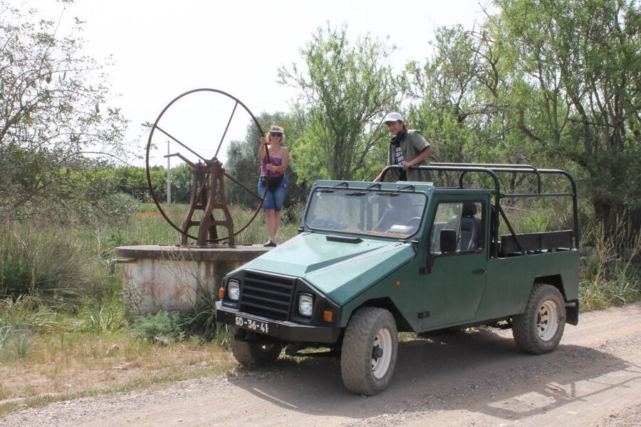 Albufeira: Jeep Safari Half-Day Countryside Tour - Biological Farm Tasting: The Food Part You Actually Notice