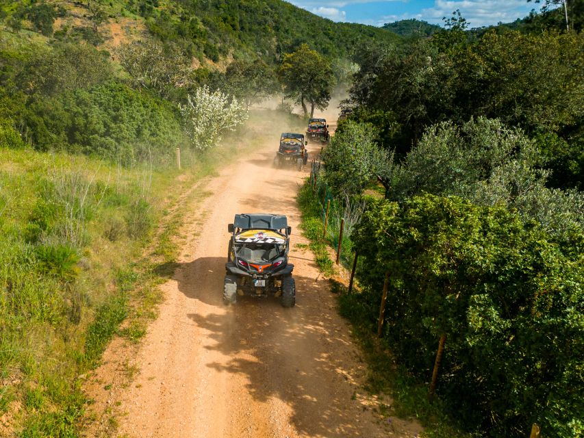 Albufeira: Off-Road Buggy Adventure - Who This Buggy Adventure Fits Best (and Who Should Skip)