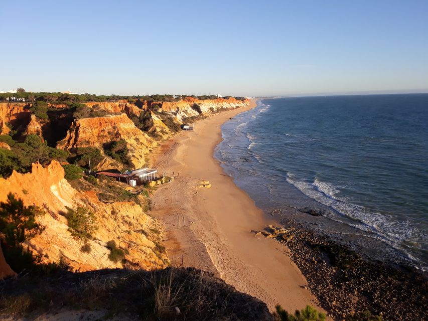 Albufeira: Tuk-tuk Sightseeing Tour - The marina and fishing port: where the town looks like itself