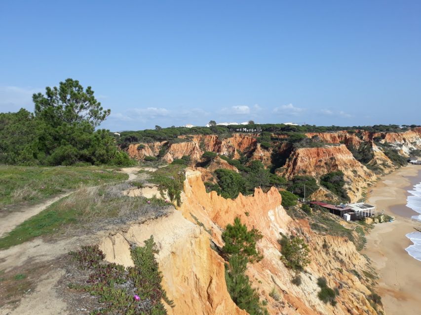 Albufeira: Tuk-tuk Sightseeing Tour - Falesia Beach: the stop that turns the tour into a photo reel