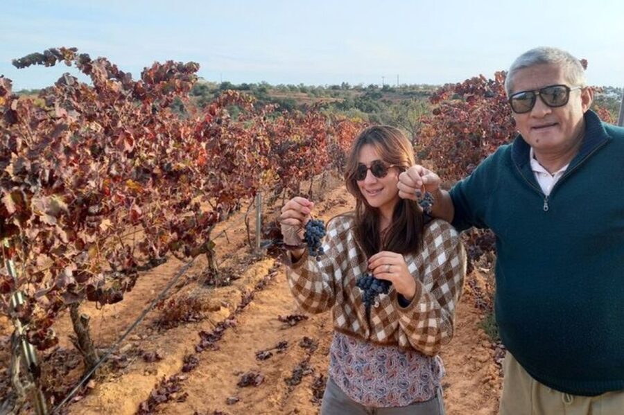 Albufeira/Vilamoura: Winery Tour with Wine Tasting and Tapas - Getting to the Quinta: Pickup from Albufeira or Vilamoura