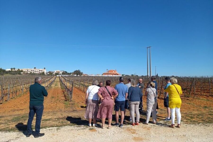 Albufeira/Vilamoura: Winery Tour with Wine Tasting and Tapas - The Wine Tasting and Portuguese Tapas: What You Pair Together