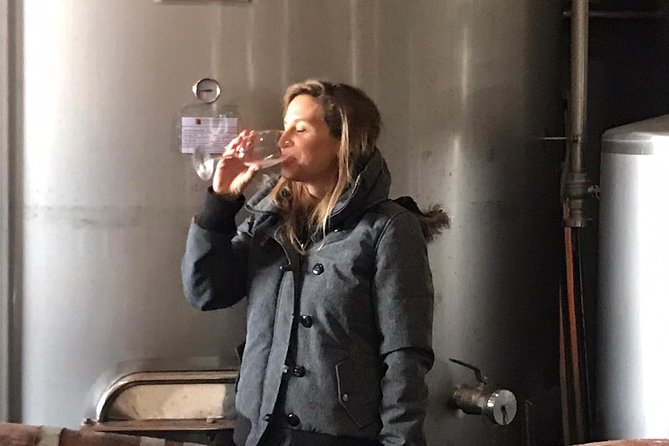 Albufeira Wine Tasting: Boutique Winery Tour & Historic Silves - How the small-group format can feel personal, even when schedules overlap