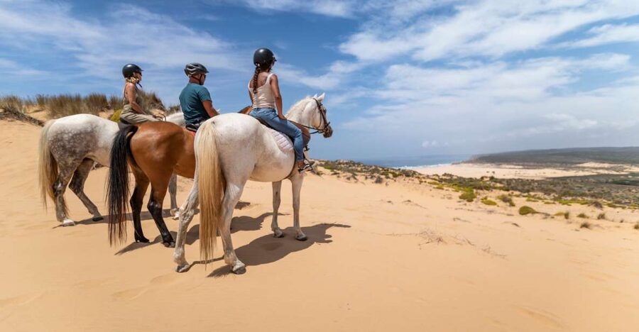Algarve: 1-Hour Carrapateira Horseback Riding Tour - Before the Saddle: Horse Prep, Safety, and How the Guides Set You Up