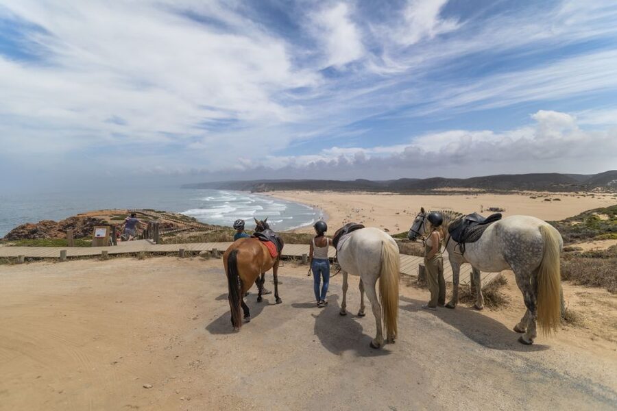 Algarve: 1-Hour Carrapateira Horseback Riding Tour - Rating the Ride for Beginners: How It Feels in the Saddle