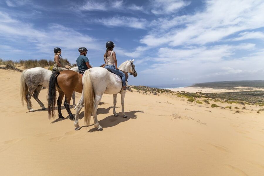 Algarve: 1-Hour Carrapateira Horseback Riding Tour - Where to Meet Near Bordeira Beach (So You Do Not Waste Time)