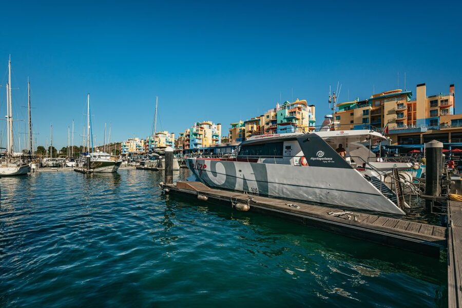 Algarve 3-Hour Caves and Coastline Boat Trip - Who this Algarve caves catamaran is best for