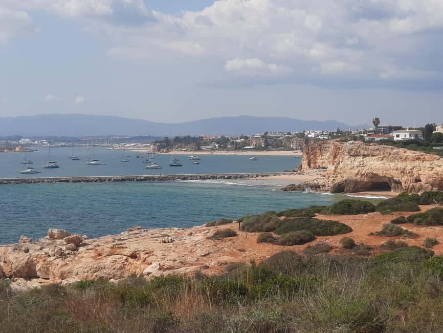 Algarve: 4x4 Safari Tour - from Coastal Wonders to Rural Treasures - Harvad winery and Phoenician roots: wine techniques with ancient lineage