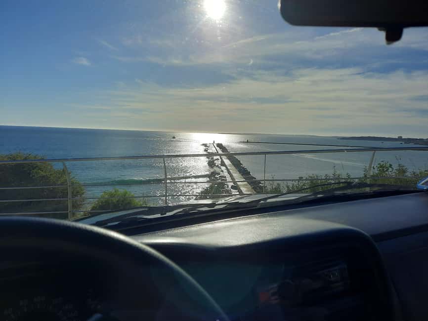 Algarve: 4x4 Safari Tour - from Coastal Wonders to Rural Treasures - Orange groves: the Algarve you can see, not just the Algarve you hear about