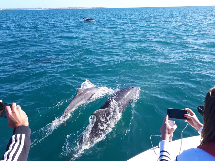Algarve: Boat Trip to the Caves of Benagil - Benagil and the cave lineup: what Paraiso, Carvoeiro, and Praia da Marinha add to the trip