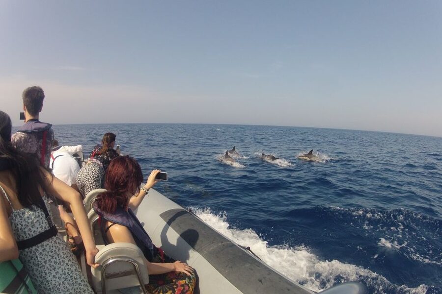 Algarve Dolphin Watching & Marine Life Eco Tour - The First Leg Through Parque Natural da Ria Formosa