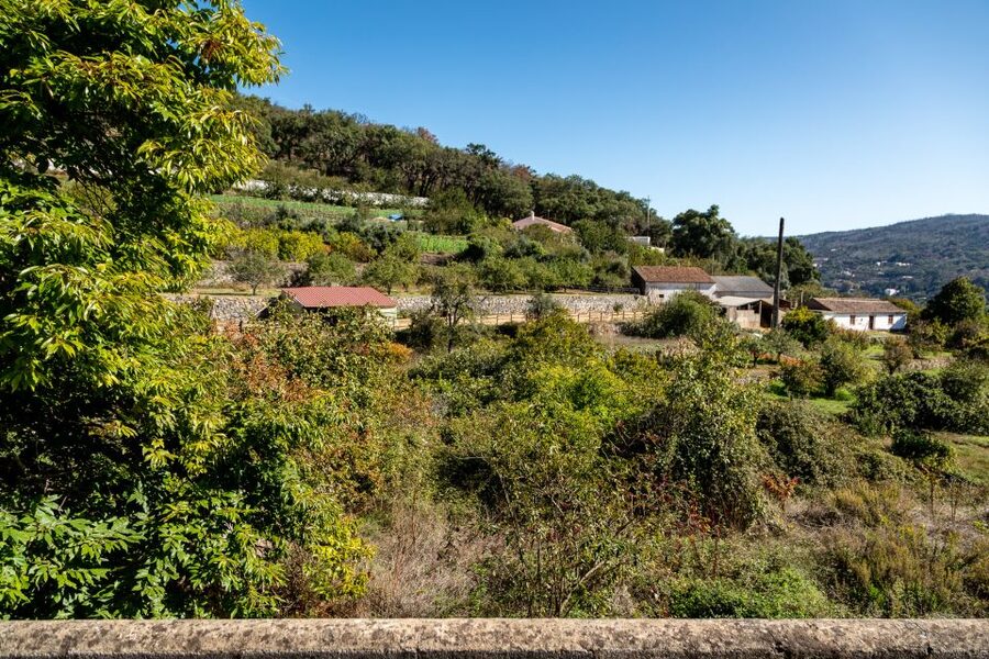 Algarve: Full-Day Guided Sightseeing Tour with Lunch - Climbing Monchique Mountain: Caldas de Monchique and Fóia views at 902m