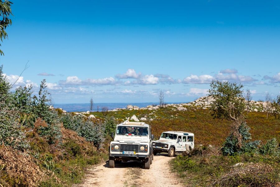 Algarve: Full-Day Guided Sightseeing Tour with Lunch - Getting picked up on time, and how to pack for a 9-hour day
