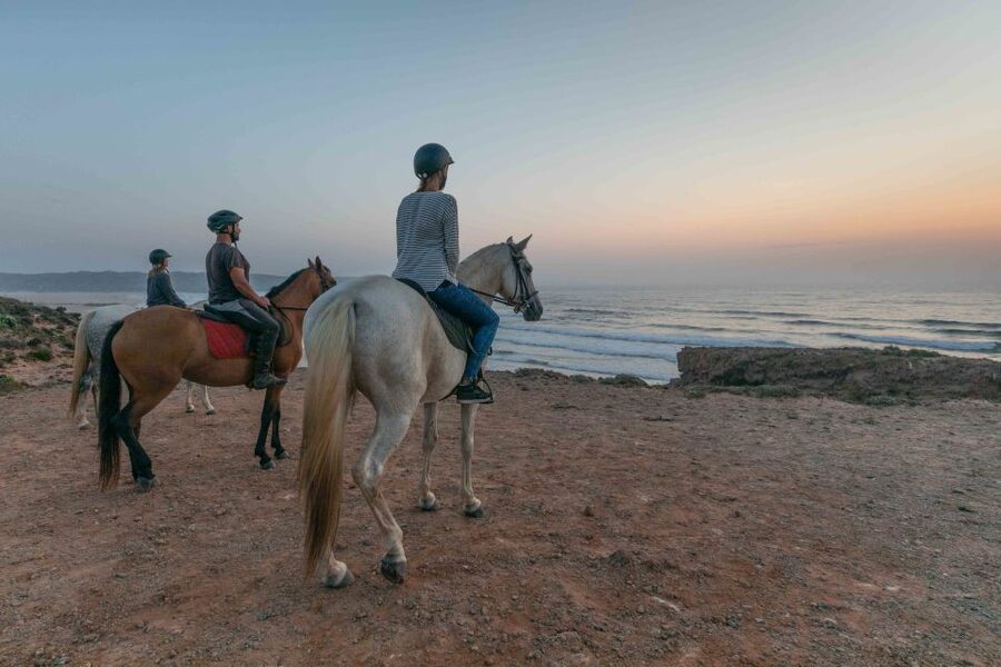 Algarve: Horse Riding Beach Tour at Sunset or Morning - Key Points to Know Before You Ride