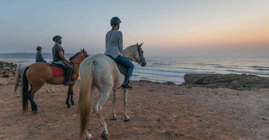 Algarve: Horse Riding Beach Tour at Sunset or Morning - Pine Forest Trails to the Edge of the Sea in Carrapateira