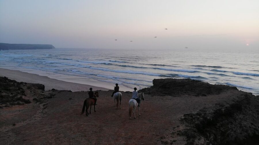 Algarve: Horse Riding Beach Tour at Sunset or Morning - Sunset Timing vs Morning Timing: Pick Your Light