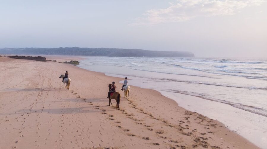 Algarve: Horse Riding Beach Tour at Sunset or Morning - The Two-Part Route: Forest Paths, Then Windy Beach Walking
