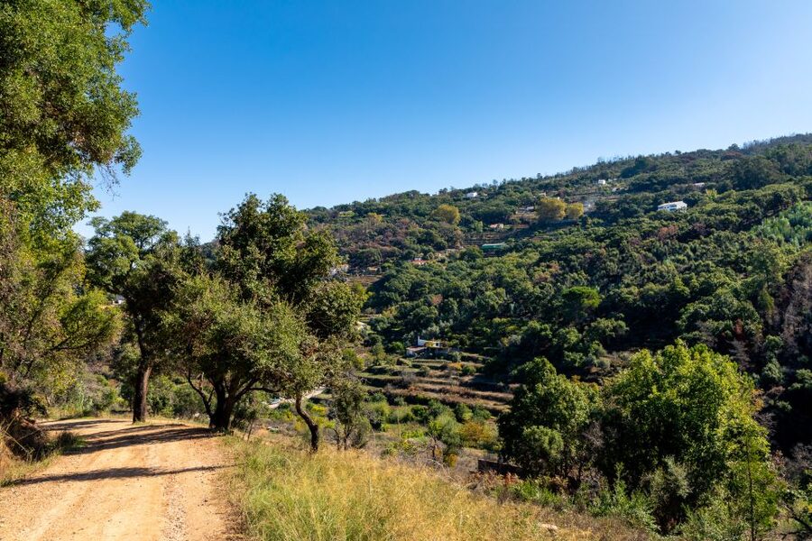 Algarve: Jeep Safari with Distillery Visit & Lunch - Honey Made the Traditional Way, with a Real-World Taste