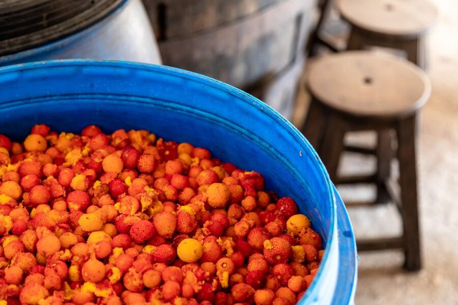 Algarve: Jeep Safari with Distillery Visit & Lunch - Lunch at a Local Restaurant: Filling, Traditional, and Often Piri-Piri