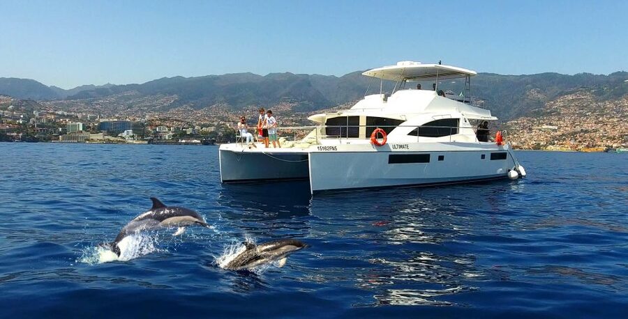 All Inclusive Whale and Dolphin Watching Luxury Tour - Luxury Catamaran Comfort From Funchal’s New Marina