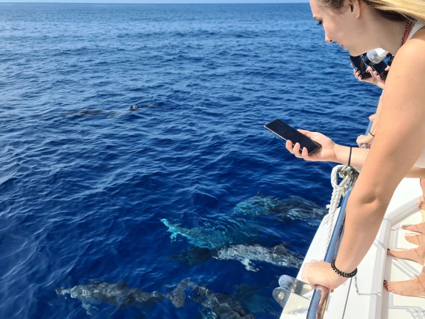 All Inclusive Whale and Dolphin Watching Luxury Tour - Cabo Girão: The 586m Sea Cliff Stop for Photos and Swimming