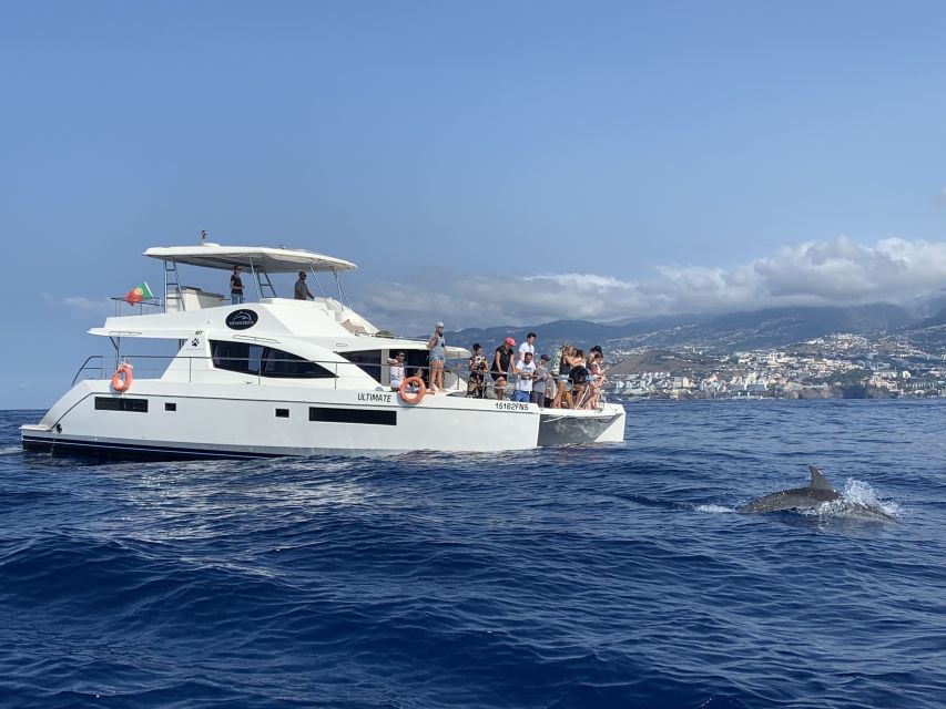 All Inclusive Whale and Dolphin Watching Luxury Tour - Drinks, Snacks, and the VIP Service Style That Makes People Repeat